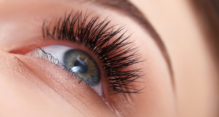Brows & Lashes